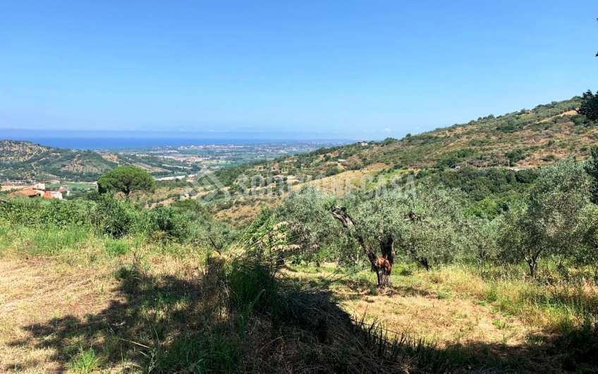 SC1151 Terreno agricolo panoramico ad Ogliastro Cilento