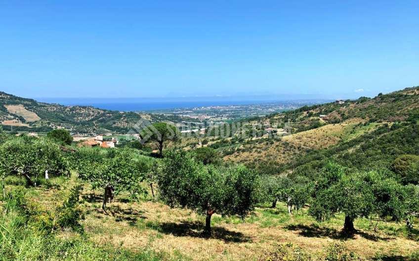 SC1151 Terreno agricolo panoramico ad Ogliastro Cilento