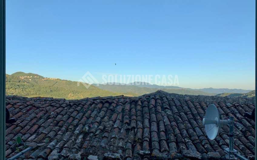 SC1162 Vendesi due unità abitative ad Ogliastro Cilento, frazione Finocchito