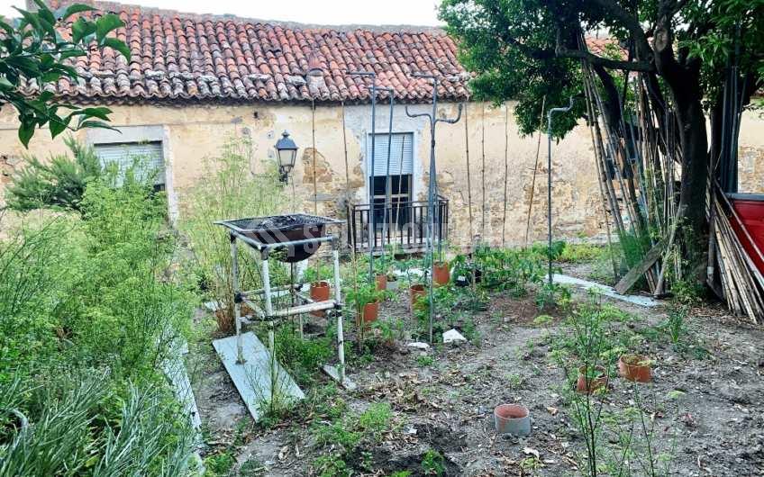 SC1162 Vendesi due unità abitative ad Ogliastro Cilento, frazione Finocchito