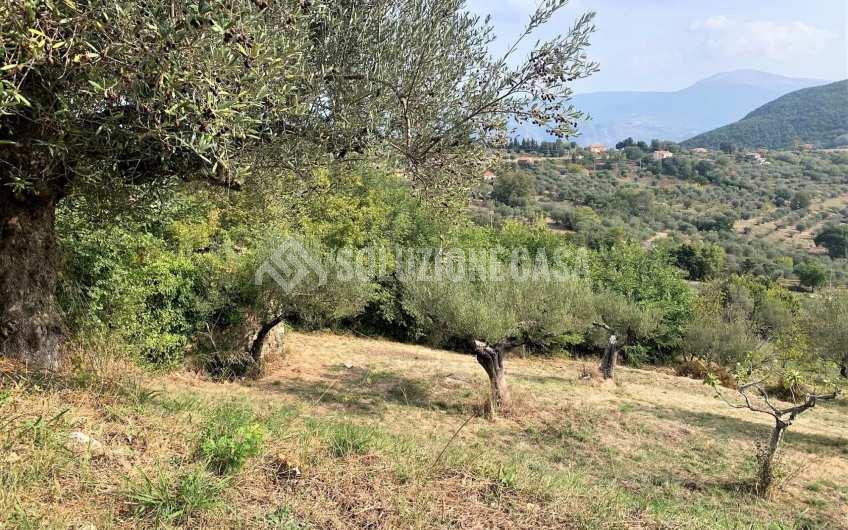 SC1206 Terreno con progetto approvato e piccolo rudere Ogliastro Cilento  Finocchito