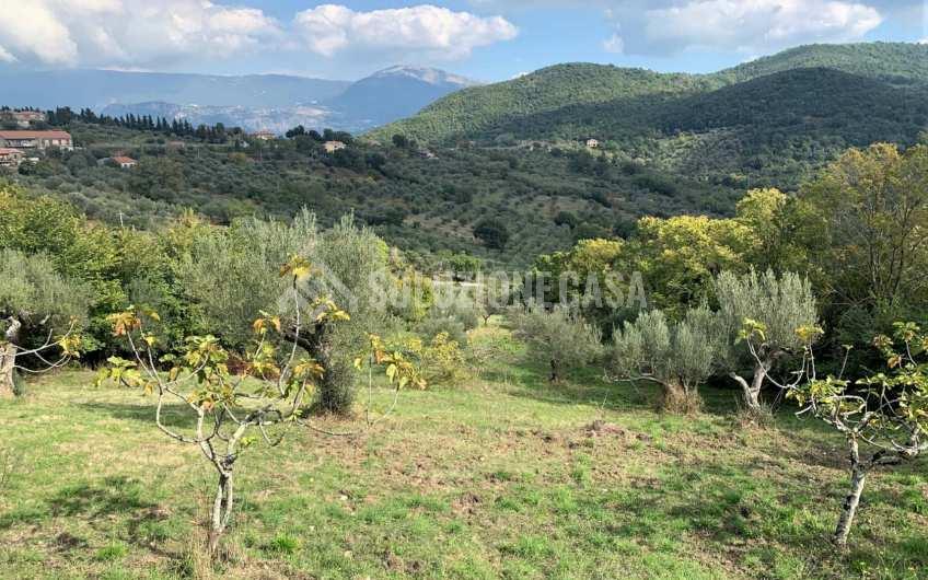 SC1206 Terreno con progetto approvato e piccolo rudere Ogliastro Cilento  Finocchito