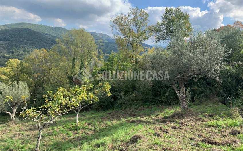 SC1206 Terreno con progetto approvato e piccolo rudere Ogliastro Cilento  Finocchito