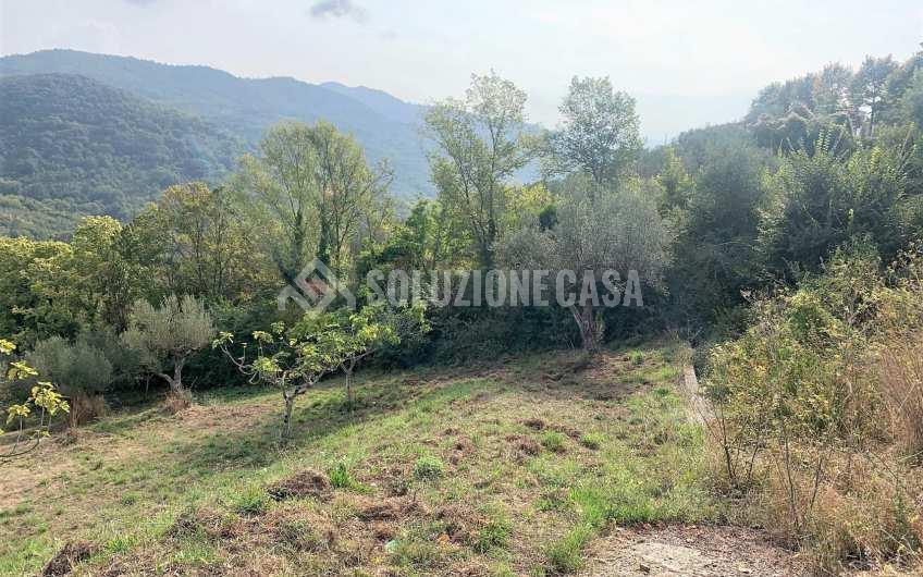 SC1206 Terreno con progetto approvato e piccolo rudere Ogliastro Cilento  Finocchito