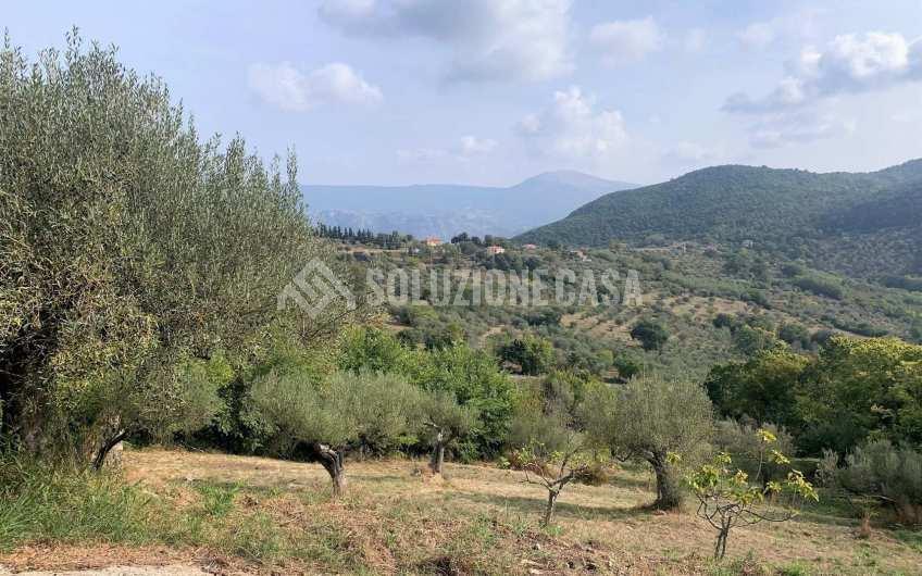 SC1206 Terreno con progetto approvato e piccolo rudere Ogliastro Cilento  Finocchito