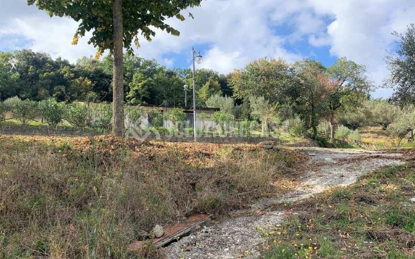 SC1206 Terreno con progetto approvato e piccolo rudere Ogliastro Cilento  Finocchito