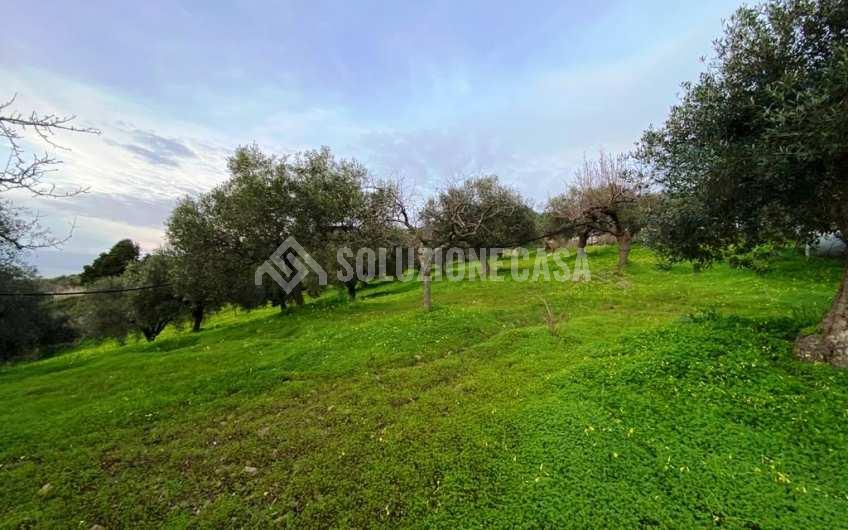 SC1175 Terreno edificabile vista mare sulla Collina San Marco di Agropoli
