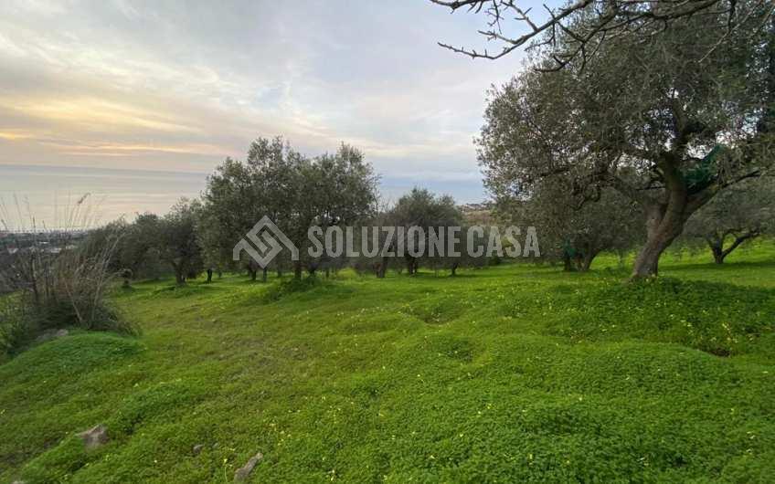 SC1175 Terreno edificabile vista mare sulla Collina San Marco di Agropoli