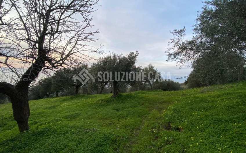 SC1175 Terreno edificabile vista mare sulla Collina San Marco di Agropoli