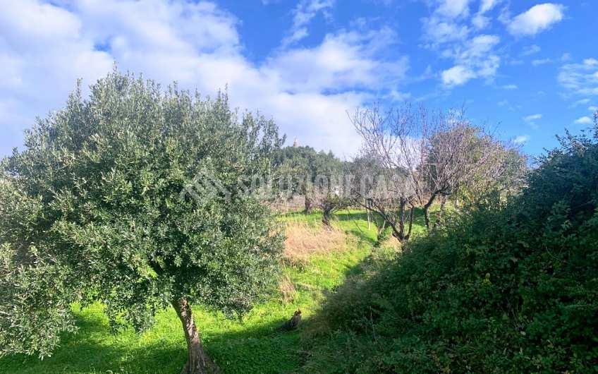 SC1175 Terreno edificabile vista mare sulla Collina San Marco di Agropoli