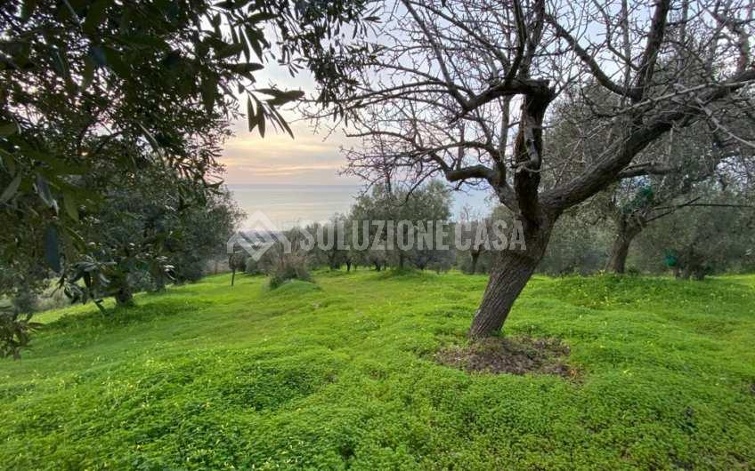 SC1175 Terreno edificabile vista mare sulla Collina San Marco di Agropoli