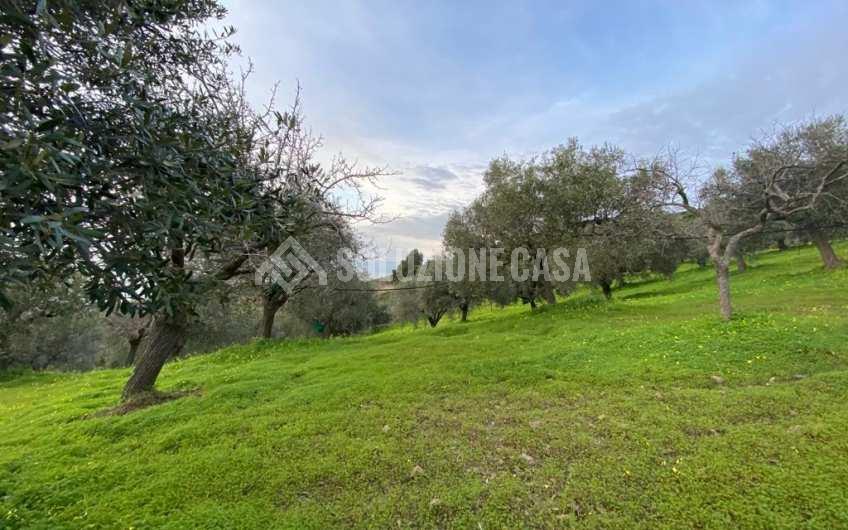 SC1175 Terreno edificabile vista mare sulla Collina San Marco di Agropoli