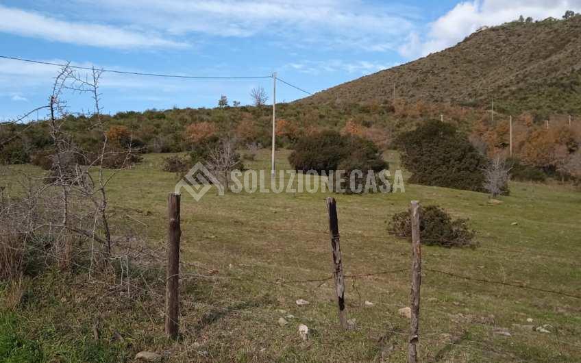 SC1215 Ampio fondo con ruderi a Montecorice