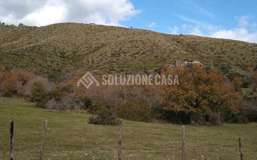 SC1215 Ampio fondo con ruderi a Montecorice