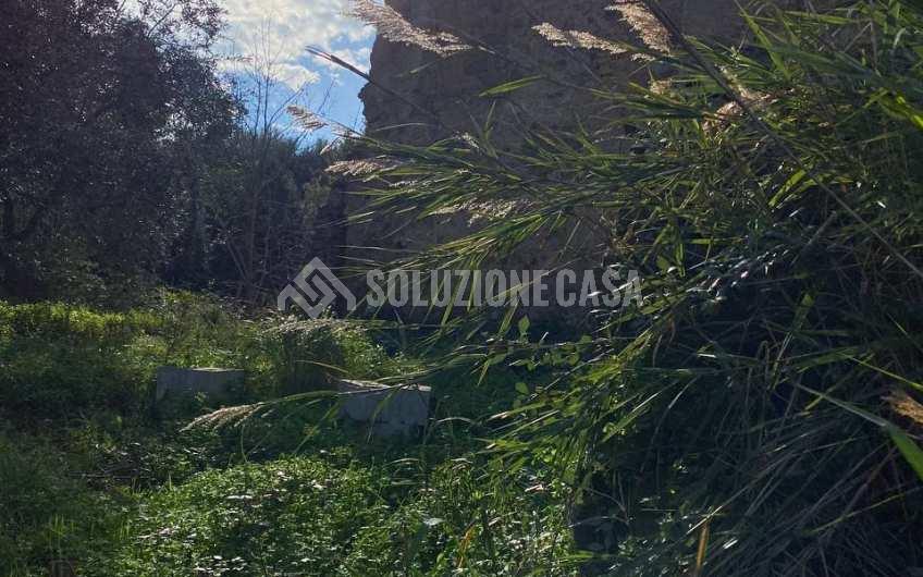 SC1214 Interessante proprietà in vendita a San Marco di Castellabate