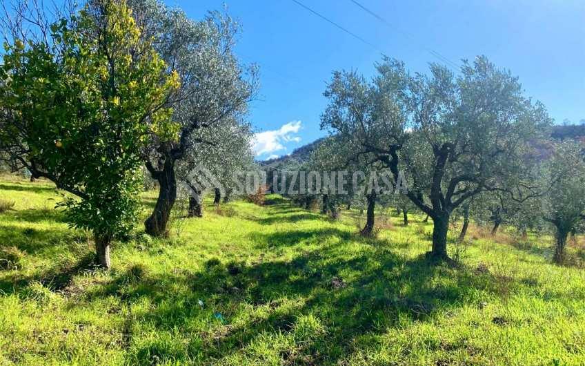 SC1217A Lotto di terreno edificabile con vista mare a Giungano