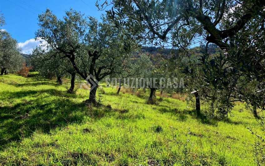 SC1217A Lotto di terreno edificabile con vista mare a Giungano