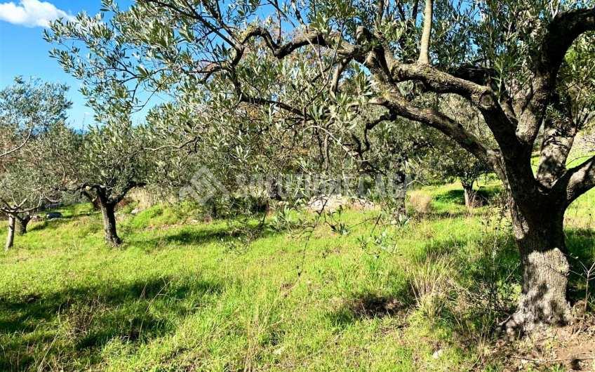 SC1217A Lotto di terreno edificabile con vista mare a Giungano