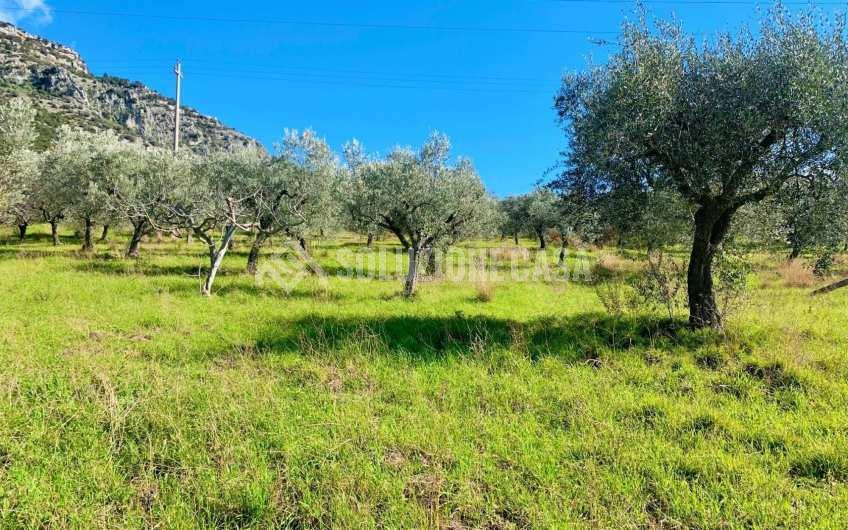 SC1217A Lotto di terreno edificabile con vista mare a Giungano