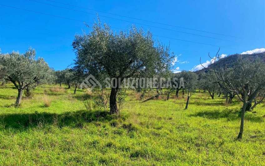 SC1217A Lotto di terreno edificabile con vista mare a Giungano