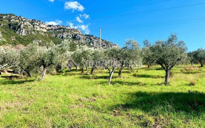 SC1217A Lotto di terreno edificabile con vista mare a Giungano