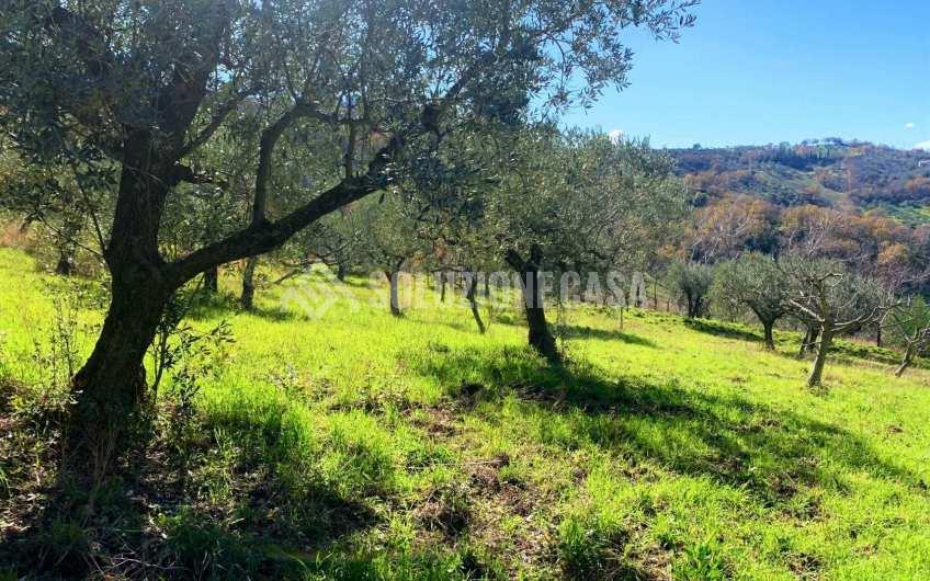 SC1217A Lotto di terreno edificabile con vista mare a Giungano