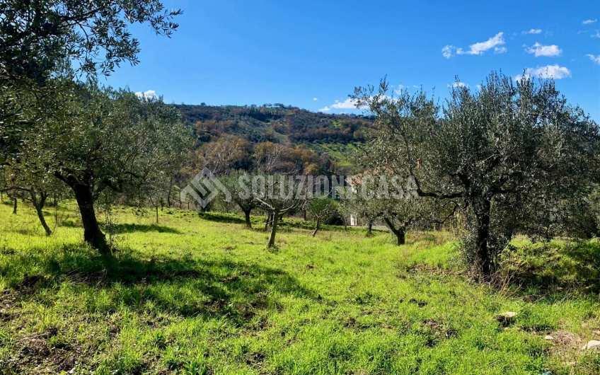 SC1217A Lotto di terreno edificabile con vista mare a Giungano
