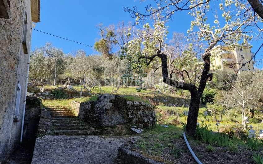 SC1228 Casa di campagna con terreno a Perdifumo