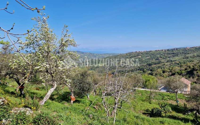 SC1228 Casa di campagna con terreno a Perdifumo