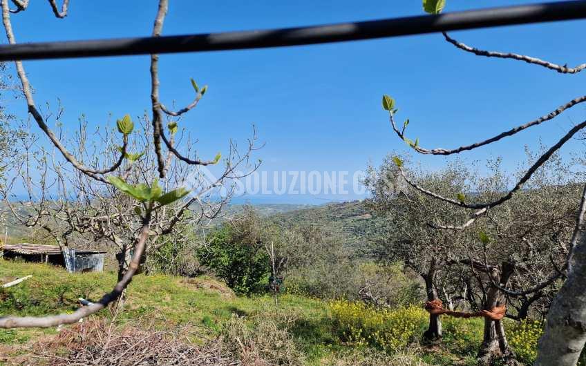 SC1228 Casa di campagna con terreno a Perdifumo
