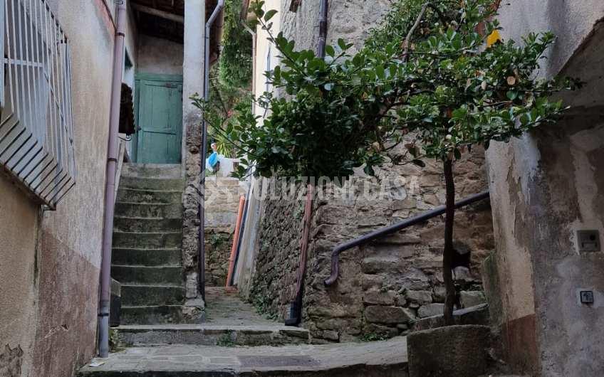 SC1226 Terracielo nel cuore del Cilento a Sessa Cilento