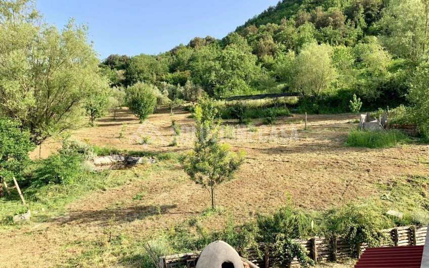 SC1235 Casale in legno immerso nella natura nel parco del Cilento