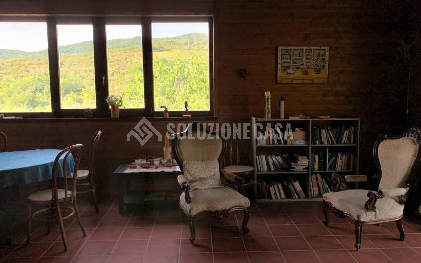 SC1235 Casale in legno immerso nella natura nel parco del Cilento