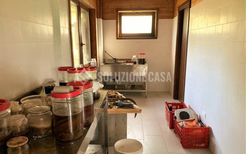 SC1235 Casale in legno immerso nella natura nel parco del Cilento