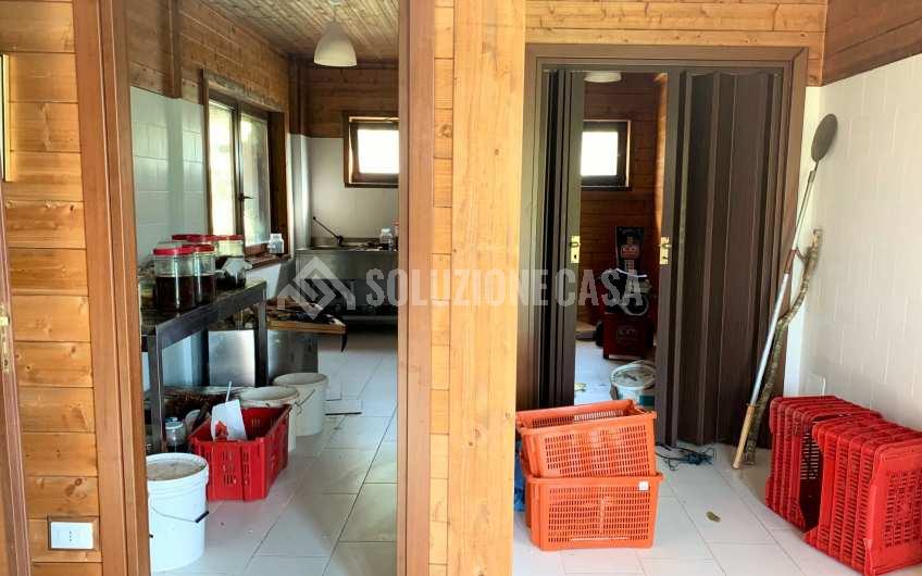 SC1235 Casale in legno immerso nella natura nel parco del Cilento