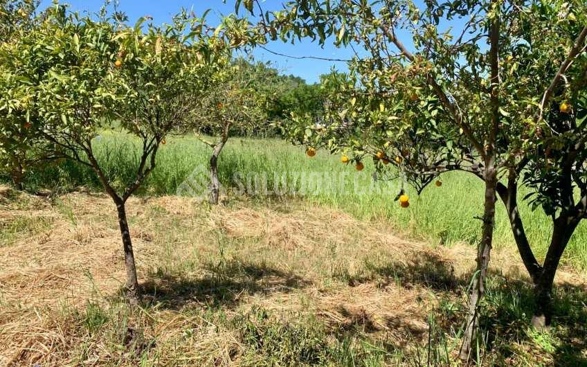 SC1229 Villa con giardino e terreno a Cicerale al confine con Agropoli