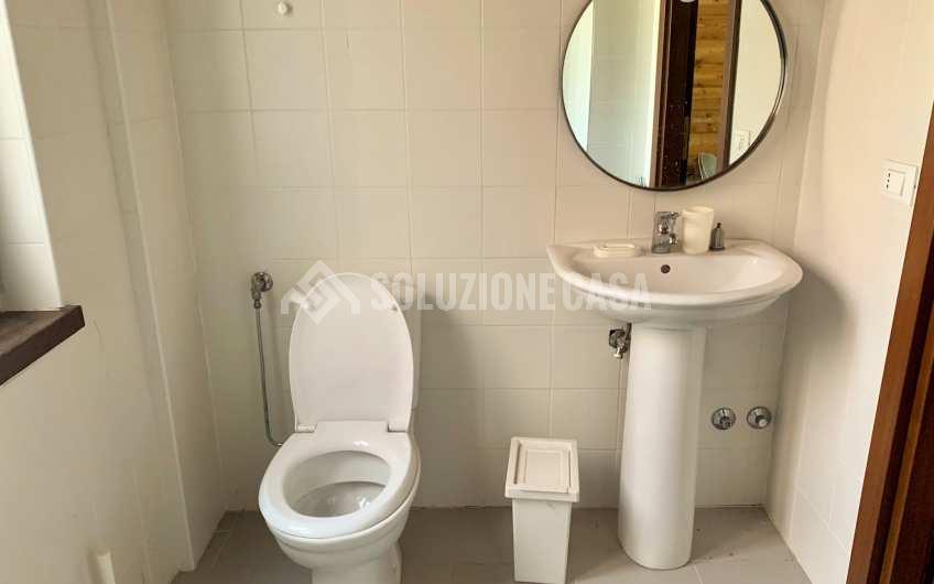 SC1235 Casale in legno immerso nella natura nel parco del Cilento