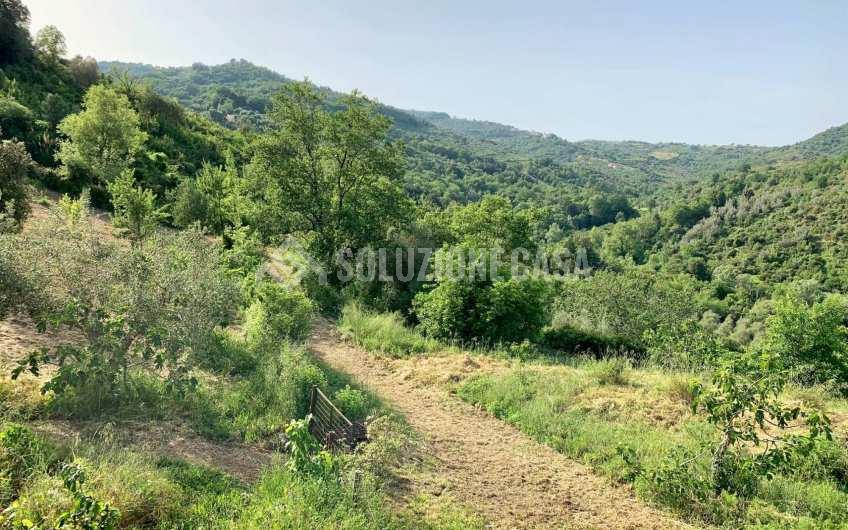 SC1235 Casale in legno immerso nella natura nel parco del Cilento