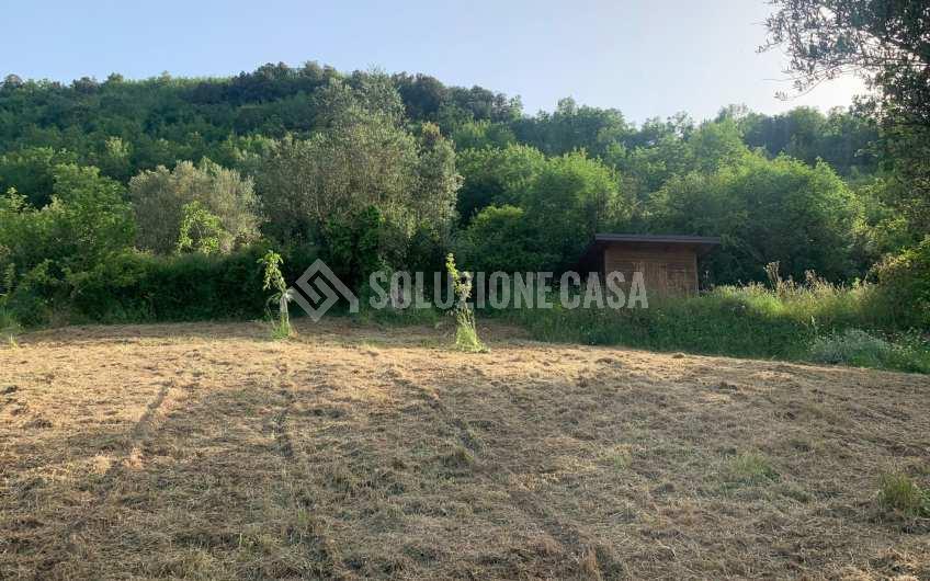 SC1235 Casale in legno immerso nella natura nel parco del Cilento
