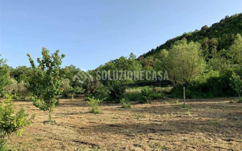 SC1235 Casale in legno immerso nella natura nel parco del Cilento