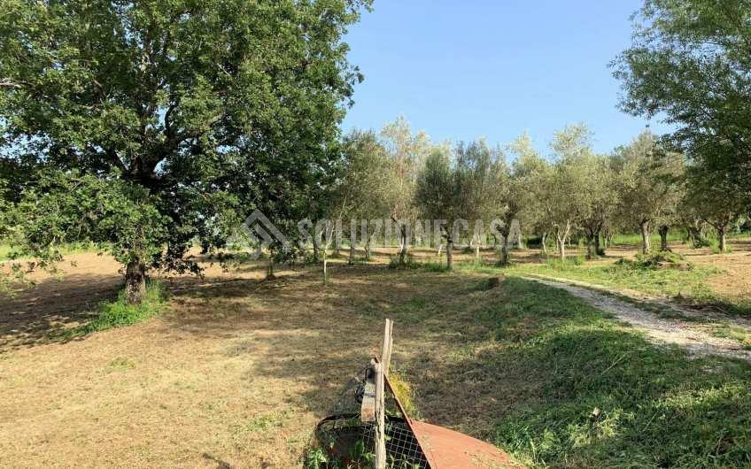SC1235 Casale in legno immerso nella natura nel parco del Cilento