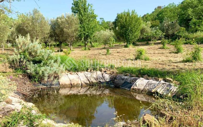 SC1235 Casale in legno immerso nella natura nel parco del Cilento