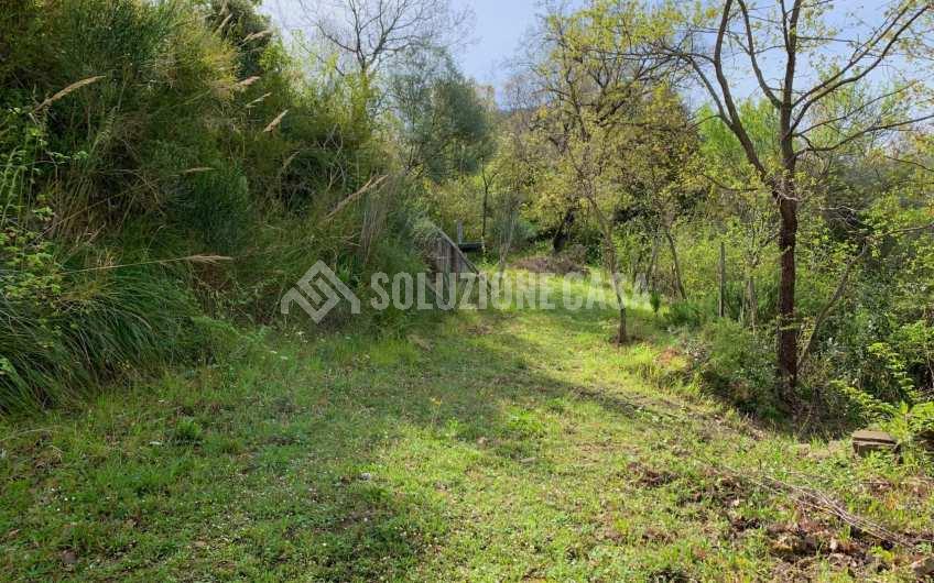 SC1231 Casolare in pietra con terreno a Cicerale