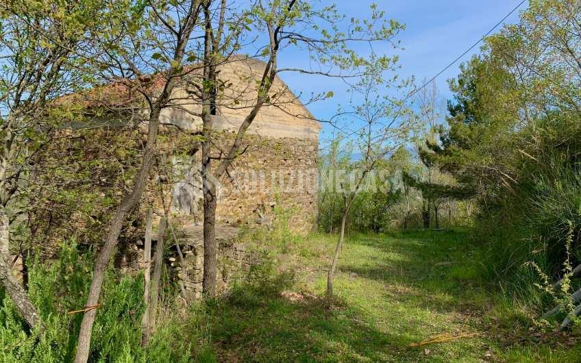 SC1231 Casolare in pietra con terreno a Cicerale