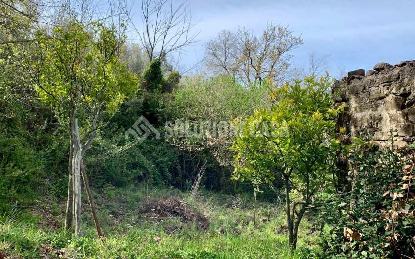 SC1231 Casolare in pietra con terreno a Cicerale