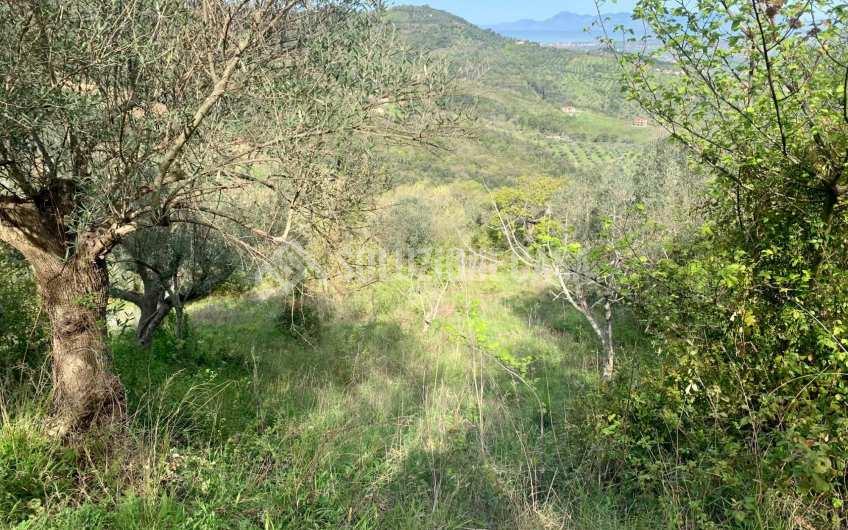 SC1231 Casolare in pietra con terreno a Cicerale