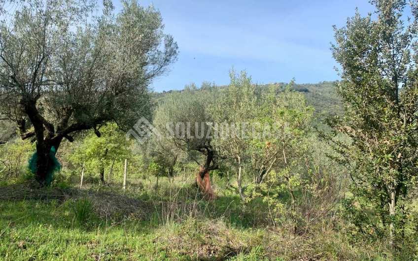 SC1231 Casolare in pietra con terreno a Cicerale