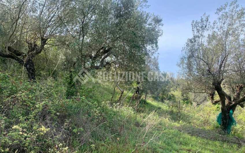 SC1231 Casolare in pietra con terreno a Cicerale