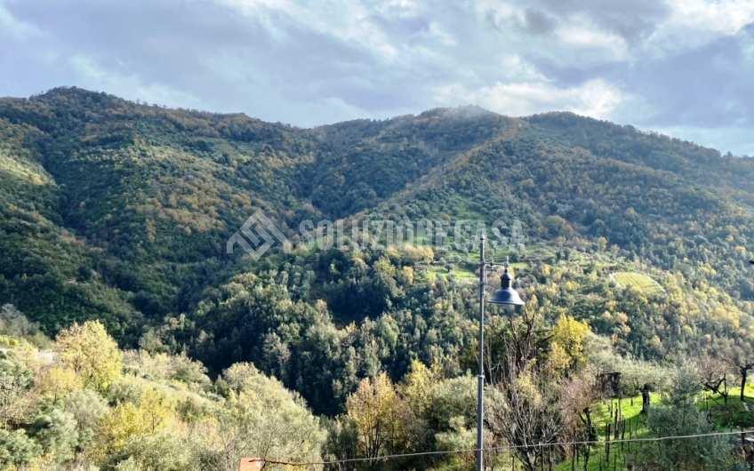 SC1172 Appartamento con cantina nel borgo di Ostigliano a Perito