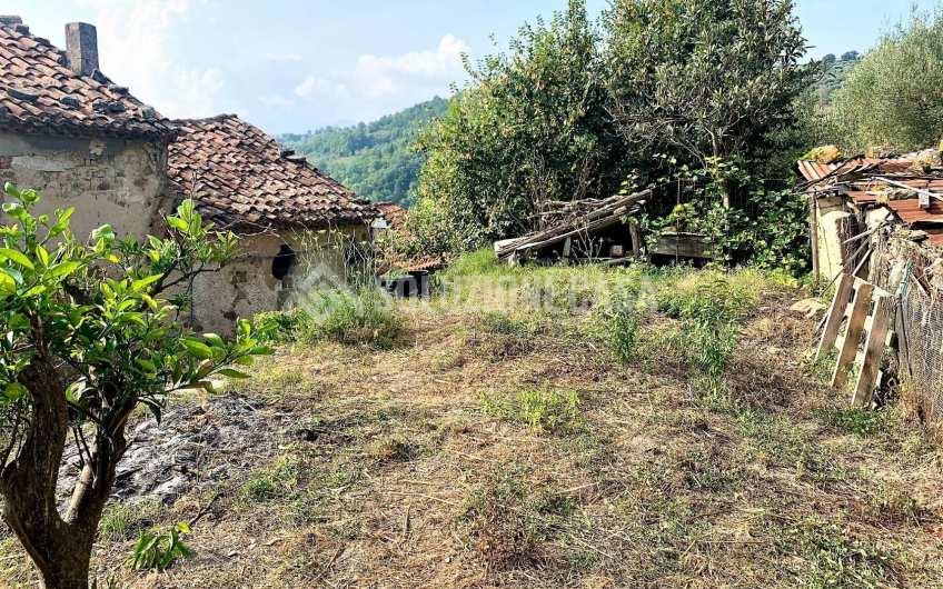 SC1162A Vendesi tre unità abitative ad Ogliastro Cilento, Frazione Finocchito